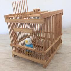 虫かご