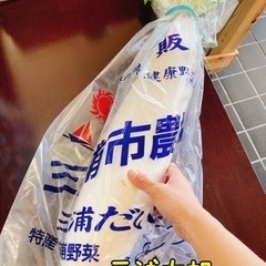 大根の季節ですね〜　『三浦海岸　浜辺の直売所　「あいば」』の画像