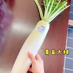 大根の季節ですね〜　『三浦海岸　浜辺の直売所　「あいば」』 - 三浦市