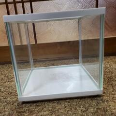 GEX　金魚元気キューブ200(取引中)の画像