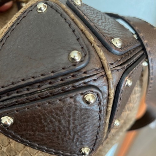 バッグ GUCCI パイソン(中古品)
