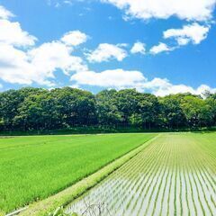 【日払い】愛媛県伊予市上三谷で田植え作業補助等のお仕事！【単発/短期求人】の画像
