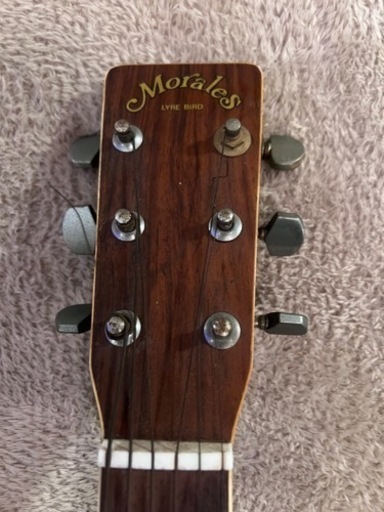MORALES LYRE BIRD モラレス アコースティックギター