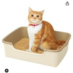 ニャンとも清潔トイレ　シンプルタイプ ライトベージュ 成猫用