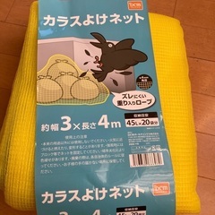 カラスネット