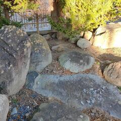 庭石 必要な方、いかがでしょうか？の画像
