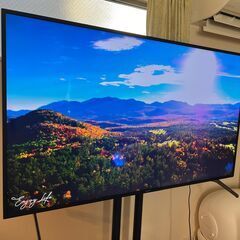 【中古品】SONY 4K液晶テレビ　　（専用テレビスタンド付き）