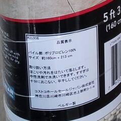 希少なミッキー模様 屋外用・屋内用 160cmx213cmカーペットの画像