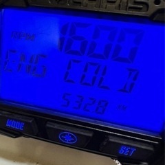 ポラリス 155改（163キャタ）カオスレール 低走行 ライトカスタム スノーモービルの画像