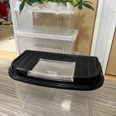 GEX グラステラリウム3045 限定アステカキット 爬虫類ケージの画像
