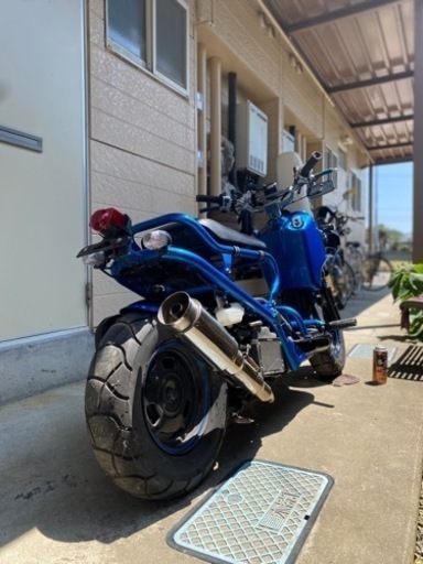 今年限定値下げホンダズーマー