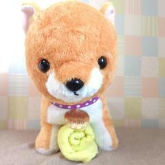 豆しば三兄弟 まめたろう 大きな ぬいぐるみ