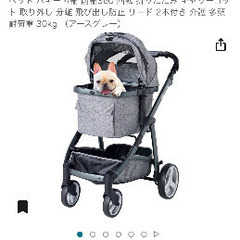 犬用バギー