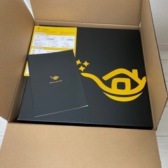 【箱・付属品など完備】popIn Aladdin 2の画像