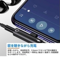 type-c イヤホン 変換アダプタ 2in1 Chayoo タ...