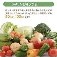 5-ALA サプリの画像