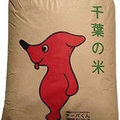 千葉県産コシヒカリ🌼古米３０KG　令和４年