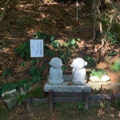 気軽、気楽な友達に♪