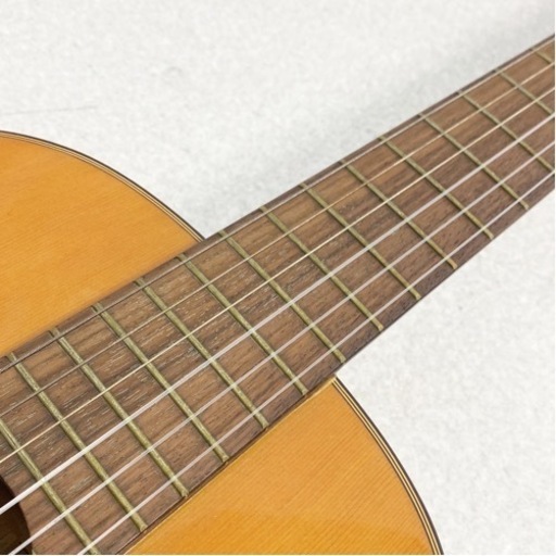 【美品】Aria PEPE P-59M ペペ アコースティックギター Hケース付
