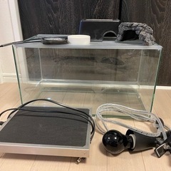 (受渡決定)爬虫類飼育セット　レオパードゲッコー　水槽　ケージの画像