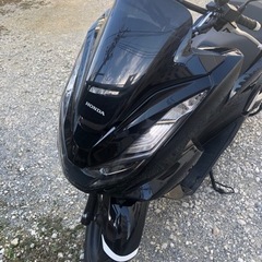 PCX  JK05  125cc  の画像