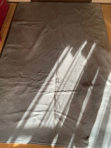 絨毯　じゅうたん　カーペット　サイズ200×300センチ 1年弱使用しましたので使用感あります。 また、ソファの上など置いてましたので、ソファの足の後などあります。