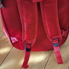 カーズ・リュックの画像