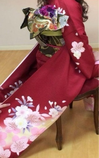 成人式 正絹友禅振袖&袋帯、バック、草履