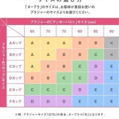 ヌーブラ　正規品の画像