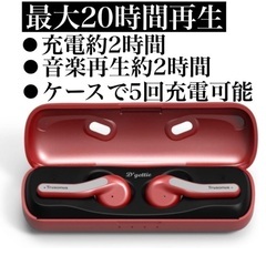 値下げしました！新品未使用品　Dgettie TE-03 ワイヤ...