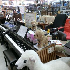 ココ さかだちして アプリコット 犬のおもちゃ 【モノ市場東海店】141の画像