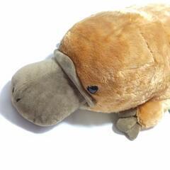 新品☆はしっこかものはし BIGぬいぐるみ【はしのスケさん】 
サイズ約84mの画像