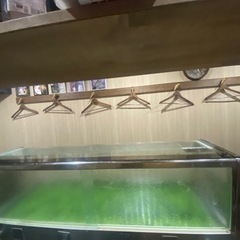 ネタケース冷氷式の画像