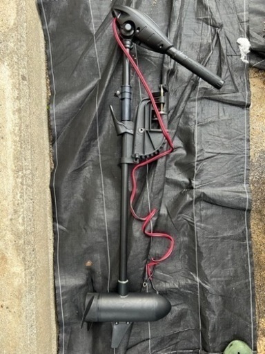 ハイガーエレキ55lb