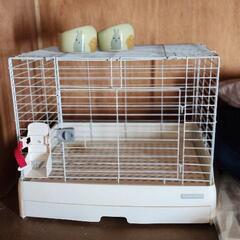うさぎ小屋
