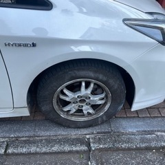 トヨタプリウス/1月中旬受け渡し/2010式の画像