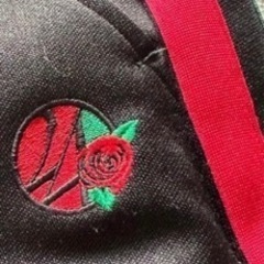 24karats スキニージャージ　中古の画像