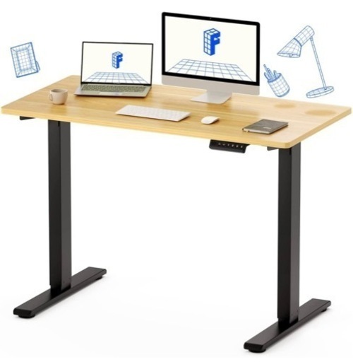 FLEXISPOT 電動式スタンディングデスク(幅120×奥行60,メモリー機能付き) 