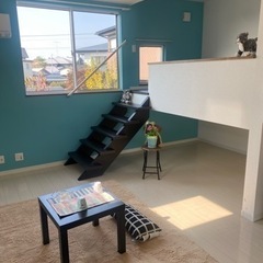 北上市上野町です　オシャレなアパート‼️大家直接契約で初期費用格安‼️