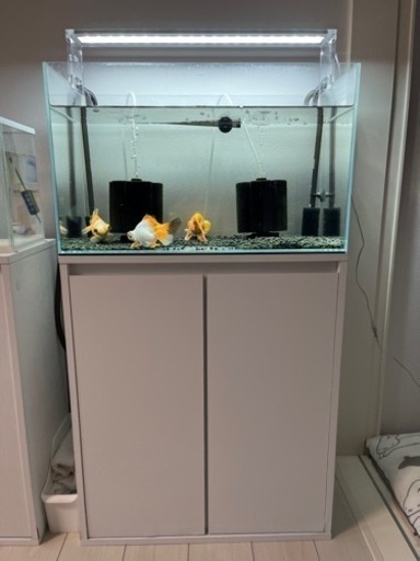 美品　ADA 60 水槽　601g  水槽台　3点セット