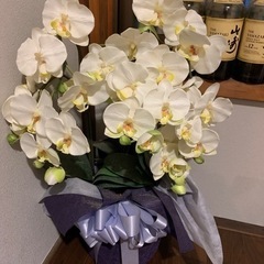 胡蝶蘭(造花)3本仕立て[値下げ]