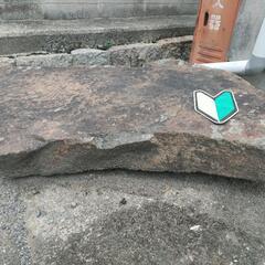 平らな庭石の画像