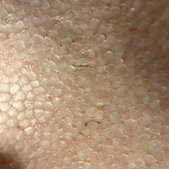 リッチェル　おふろマットの画像