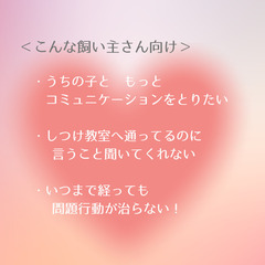 【🐾募集中🐾】うちの子（ペット）と話せる講座～西明石～の画像
