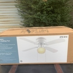 littleton  42 in ceiling fan  