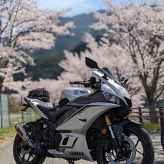 yzf r25 希少車　マットシルバー