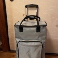 4輪ショッピングカート　横推し　機内持込み可　バッグ内保温保冷の画像