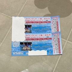 よみうりランド 入園ご招待券  チケット 1/31まで 2枚