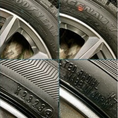 「商談中」㊼155/65R14 新品冬用タイヤ4本と中古美品ホイールとナット付きの画像