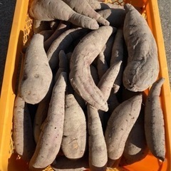 サツマイモ🍠🍠200〜250円